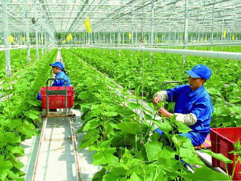 案例展示